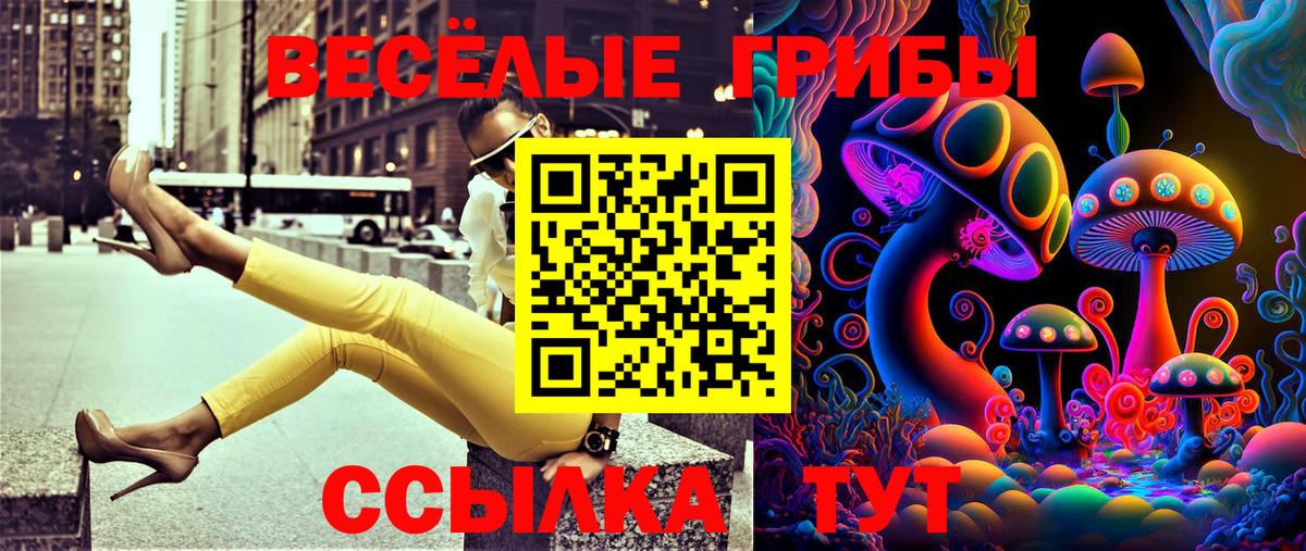 Галлюциногенные грибы Magic Shrooms  Вход с VPN  Псилоцибиновые грибы Psilocybine cubensis  наркотики  Калач-на-Дону 