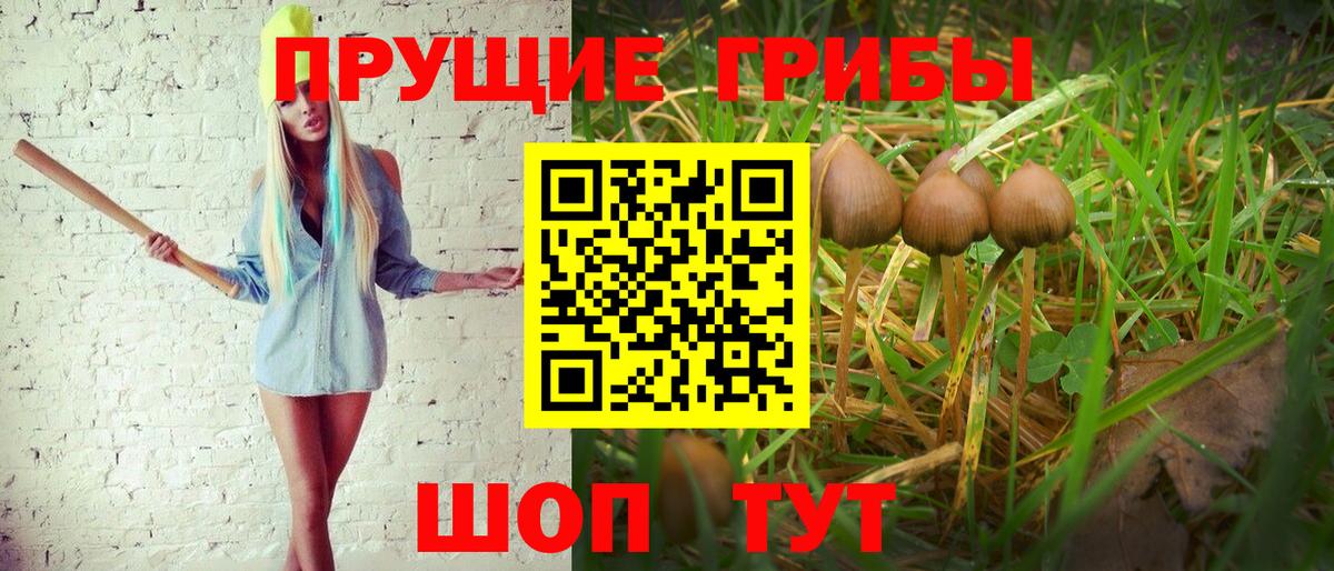 Псилоцибиновые грибы GOLDEN TEACHER Калач-на-Дону